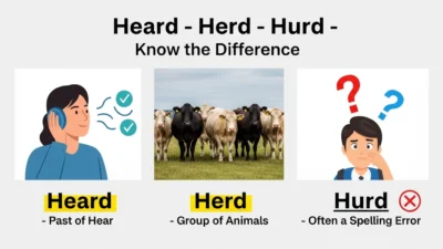 Heard vs Herd vs Hurd