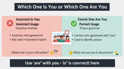 Which One Is You vs Which One Are You